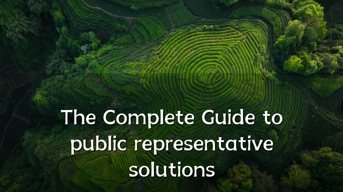The Complete Guide to public representative solutions