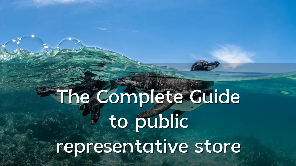 The Complete Guide to public representative store