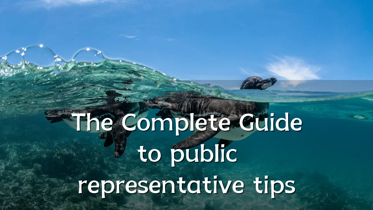 The Complete Guide to public representative tips