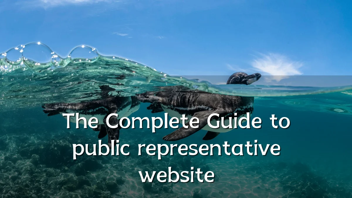 The Complete Guide to public representative website