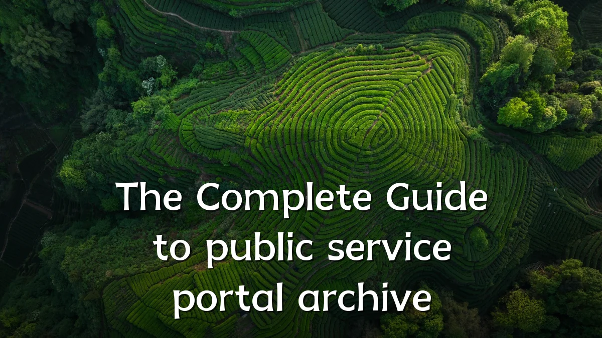 The Complete Guide to public service portal archive