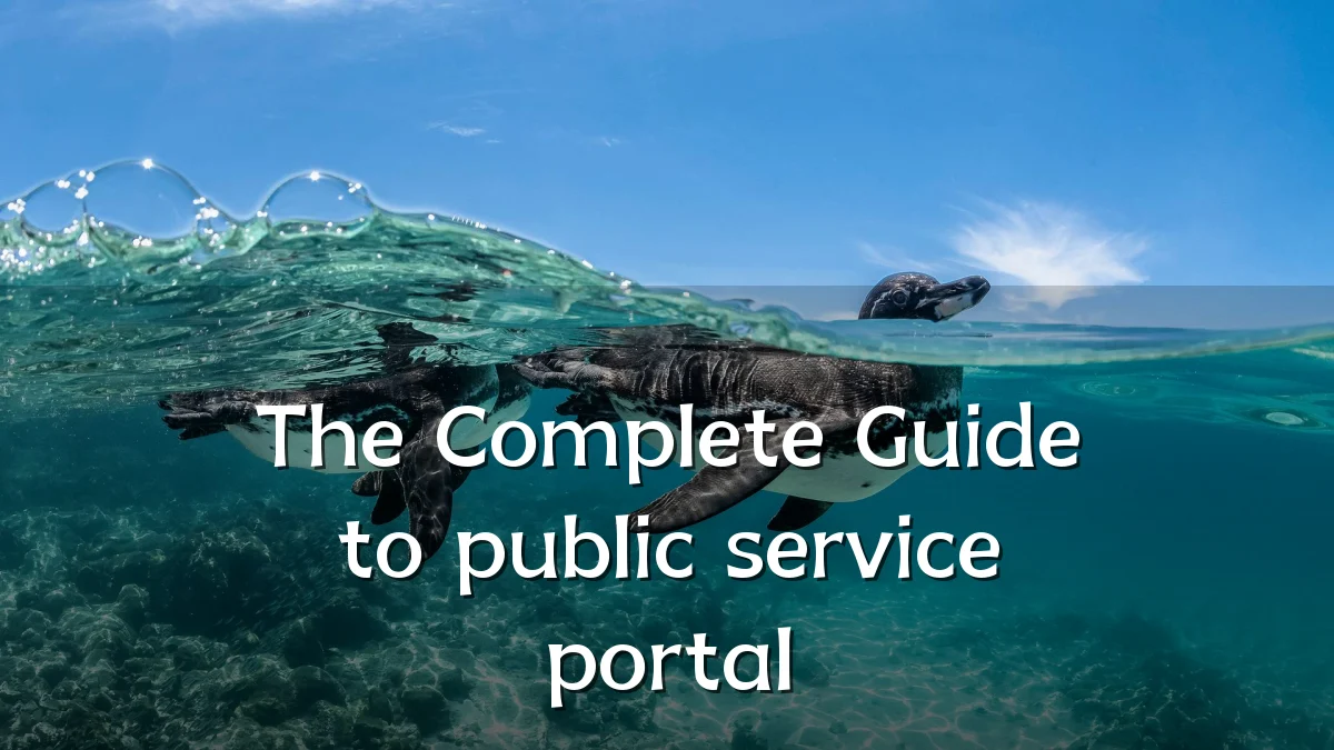 The Complete Guide to public service portal