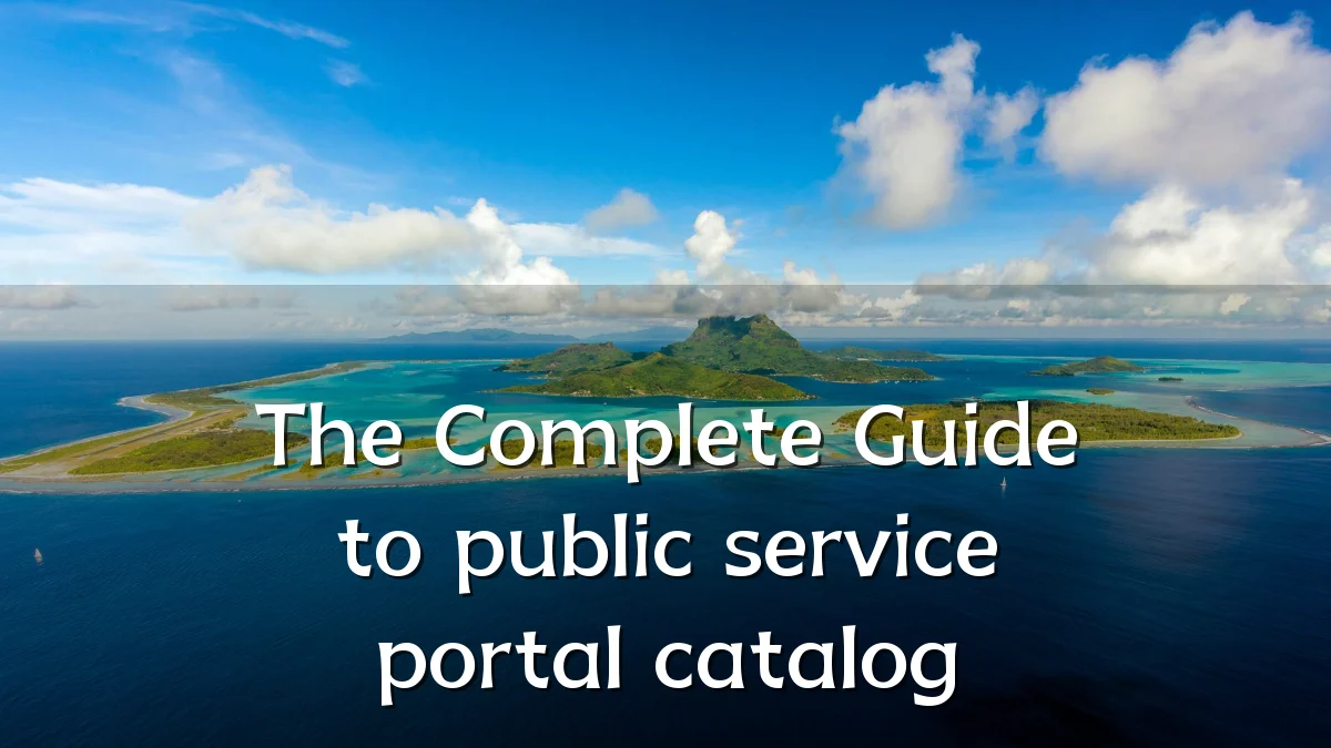 The Complete Guide to public service portal catalog