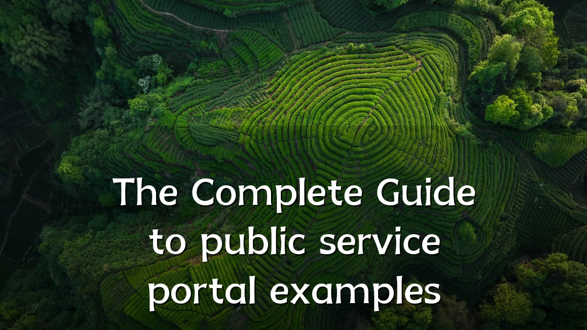 The Complete Guide to public service portal examples