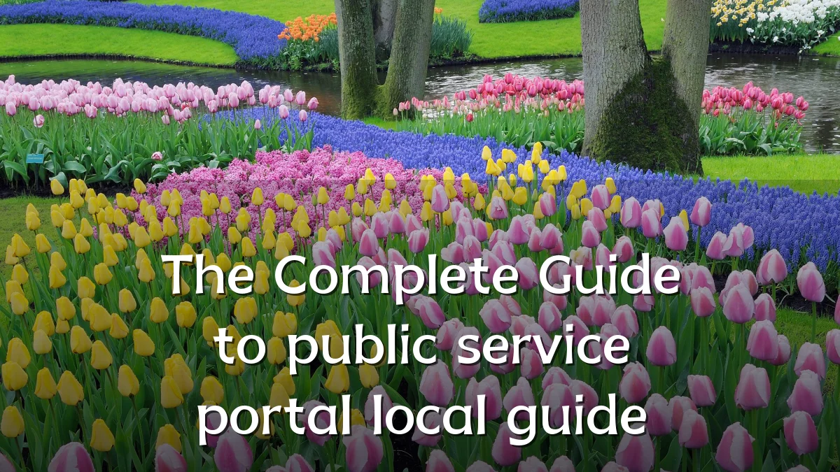 The Complete Guide to public service portal local guide
