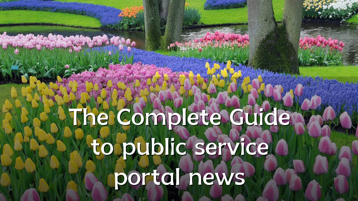 The Complete Guide to public service portal news