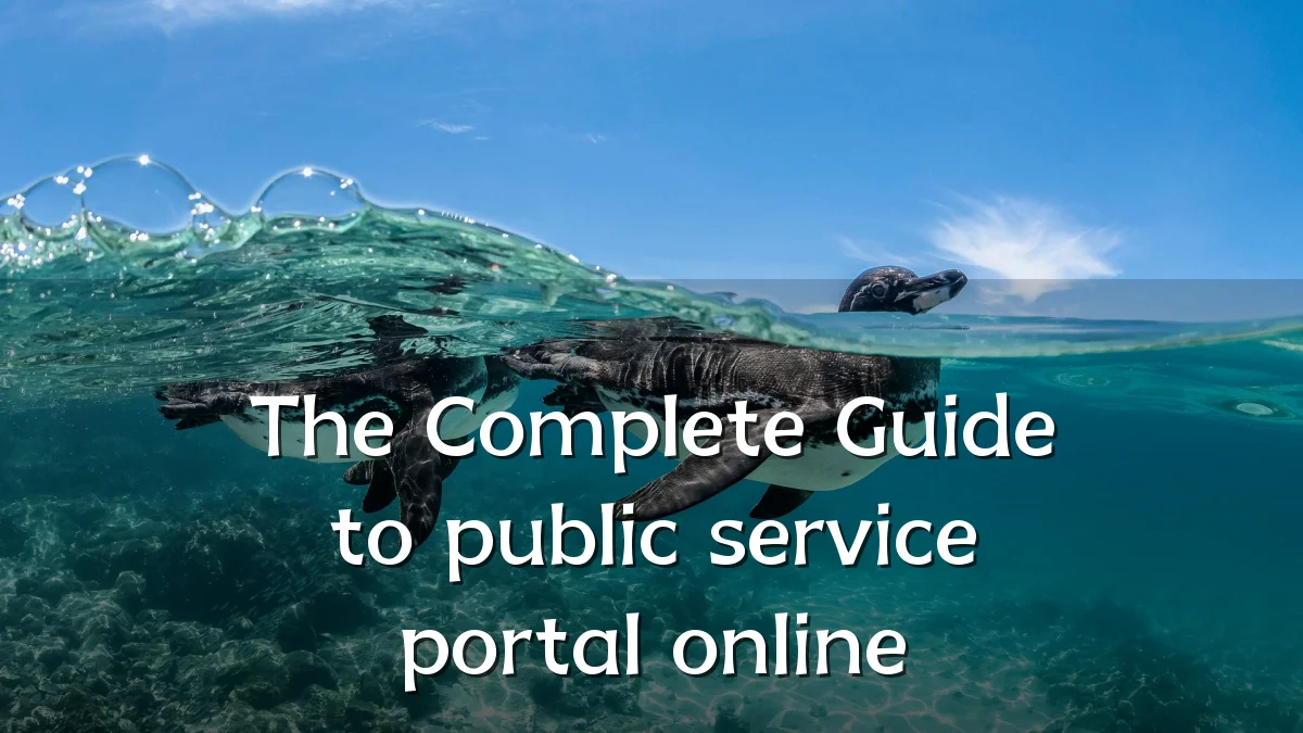 The Complete Guide to public service portal online