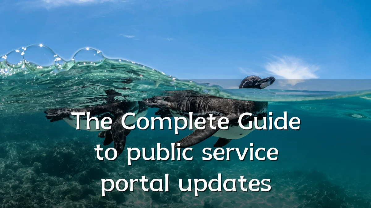The Complete Guide to public service portal updates