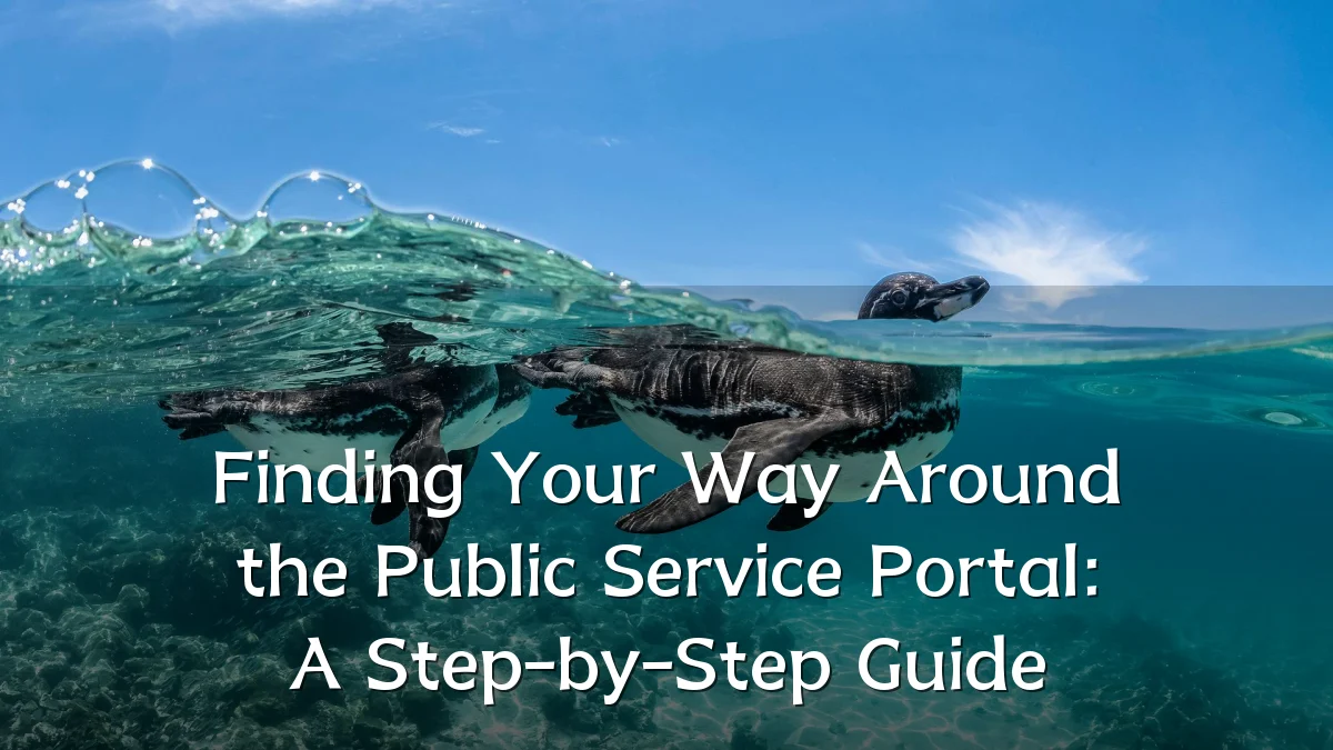 Finding Your Way Around the Public Service Portal: A Step-by-Step Guide