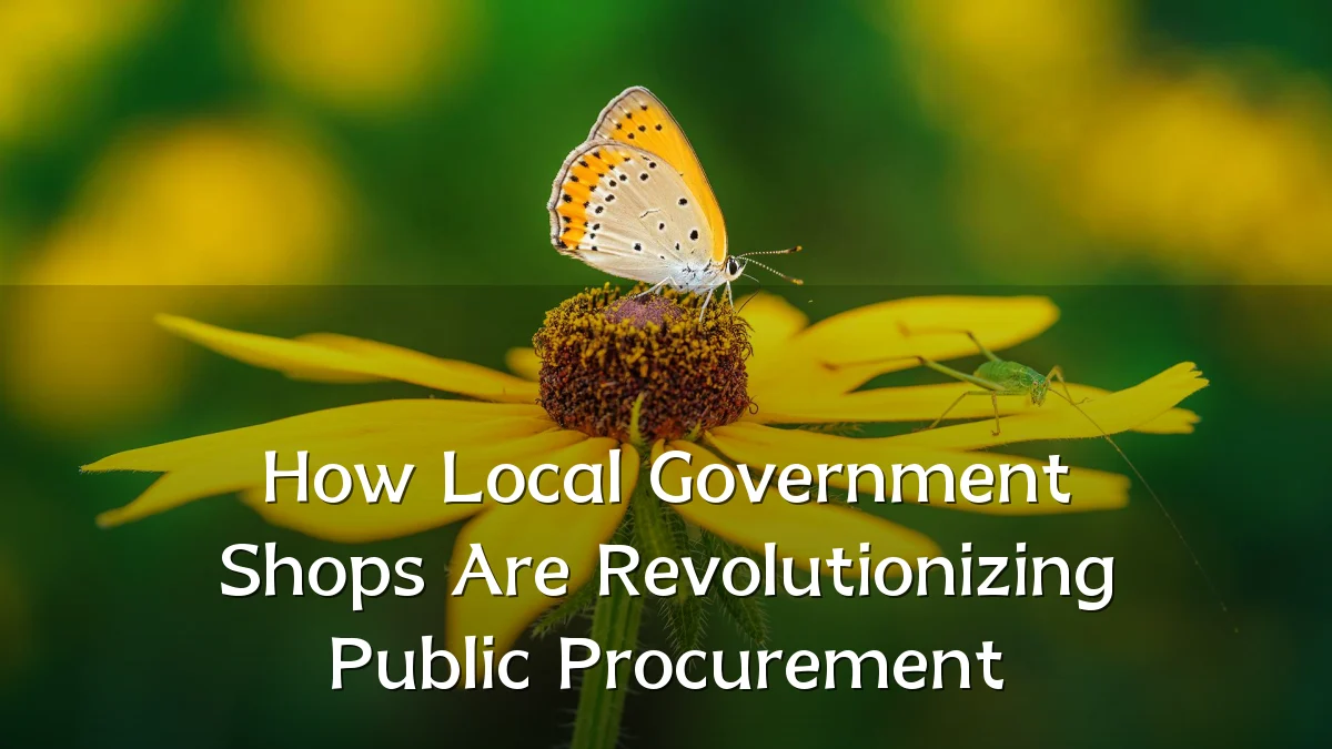 How Local Government Shops Are Revolutionizing Public Procurement