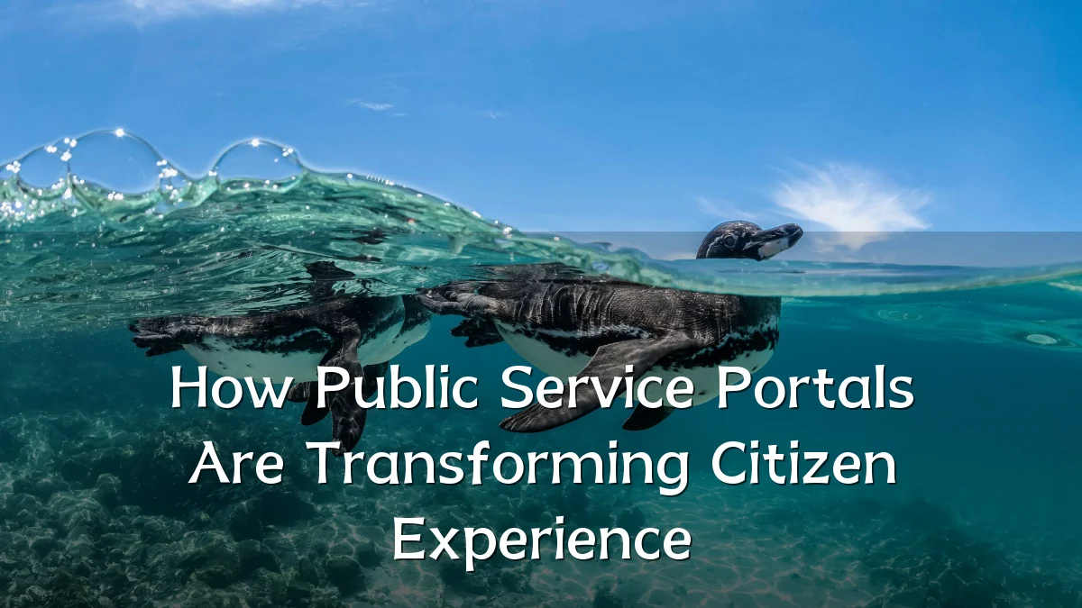 How Public Service Portals Are Transforming Citizen Experience