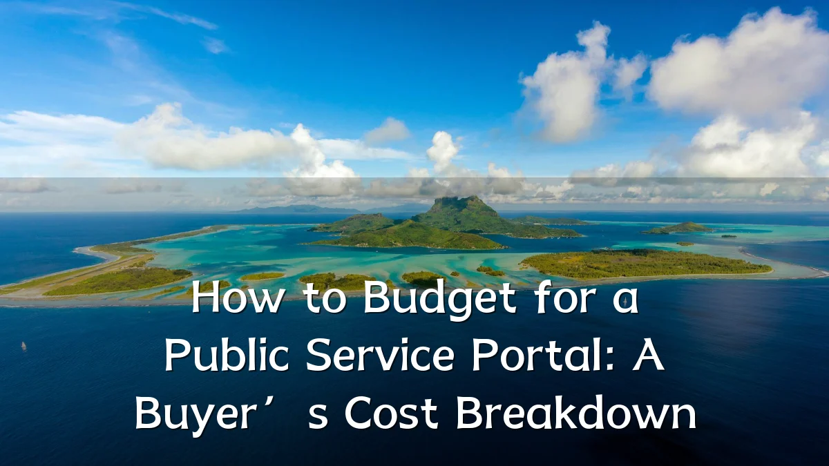 How to Budget for a Public Service Portal: A Buyer’s Cost Breakdown
