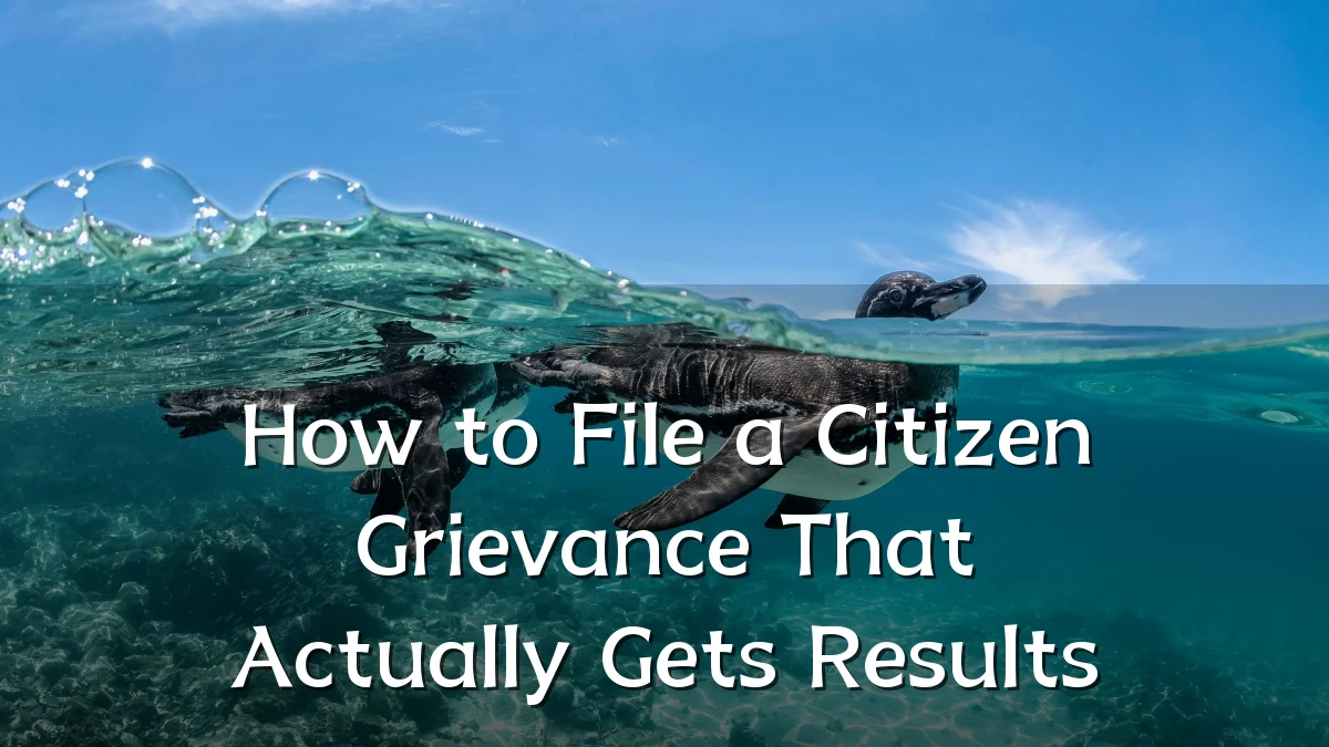 How to File a Citizen Grievance That Actually Gets Results