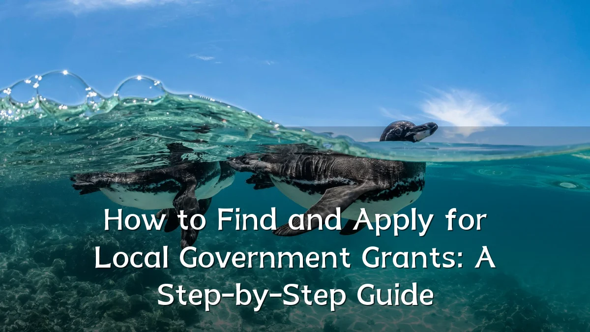 How to Find and Apply for Local Government Grants: A Step-by-Step Guide