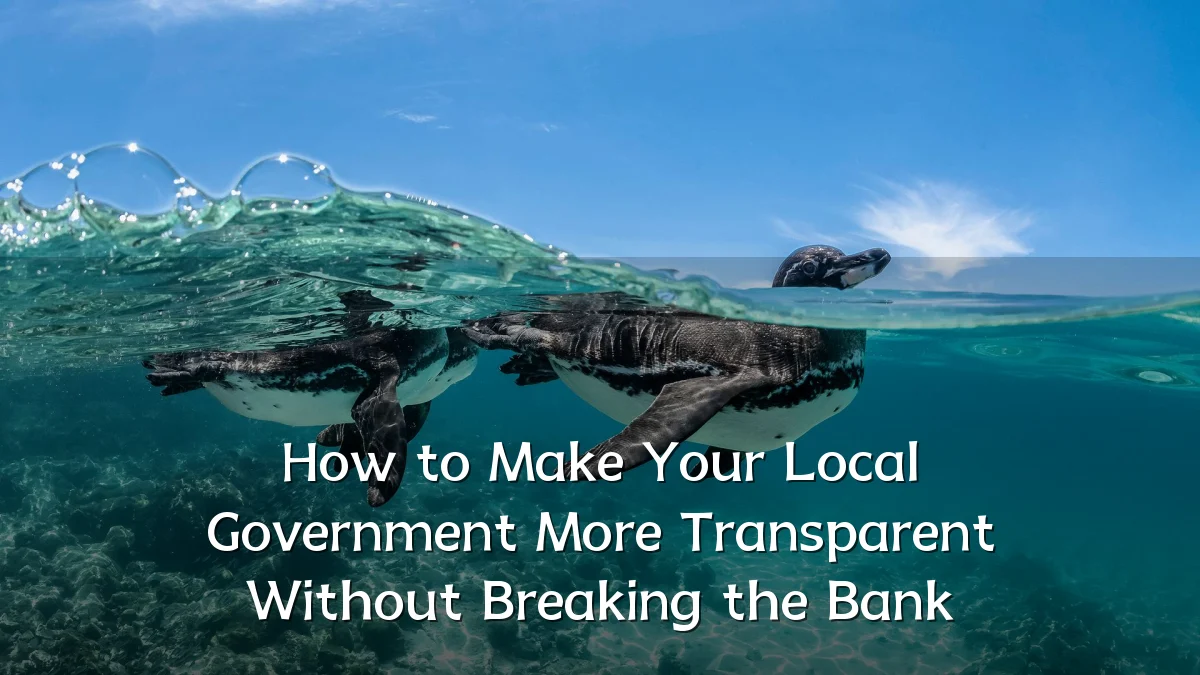 How to Make Your Local Government More Transparent Without Breaking the Bank