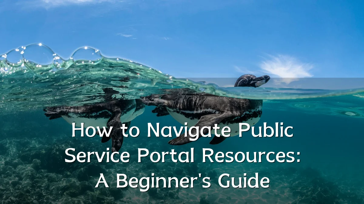 How to Navigate Public Service Portal Resources: A Beginner's Guide
