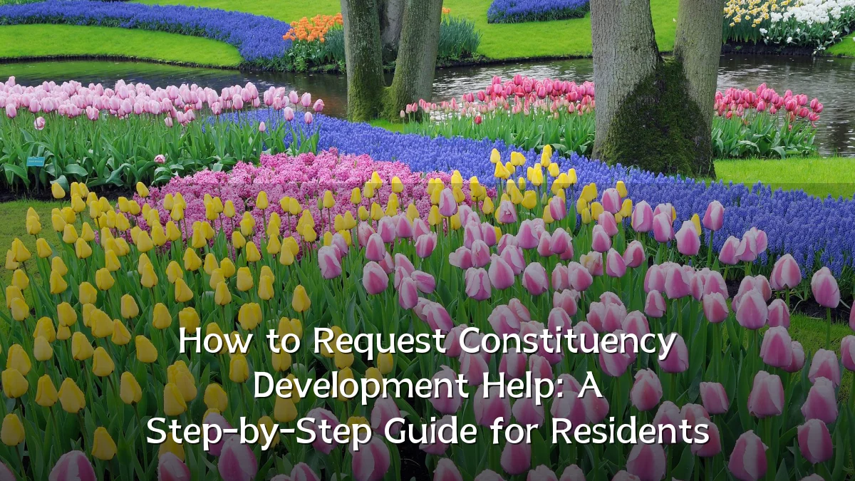How to Request Constituency Development Help: A Step-by-Step Guide for Residents