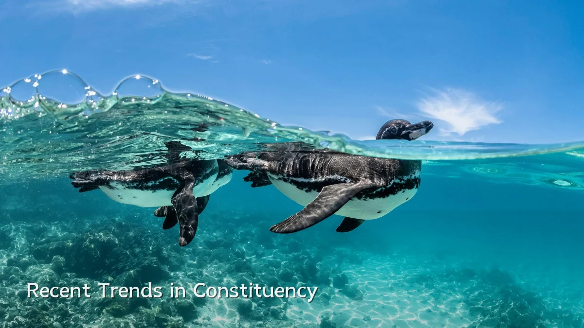 Recent Trends in Constituency