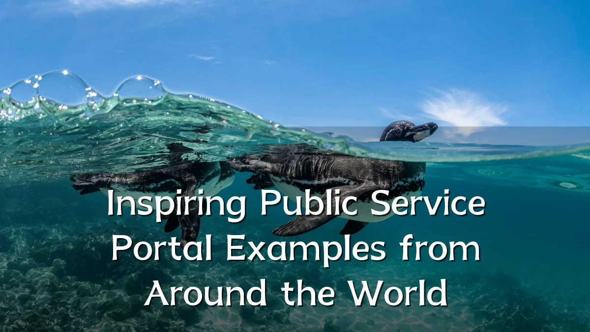 Inspiring Public Service Portal Examples from Around the World
