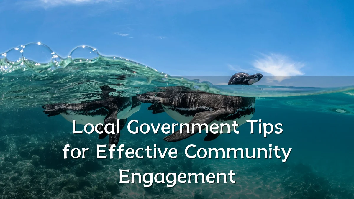 Local Government Tips for Effective Community Engagement
