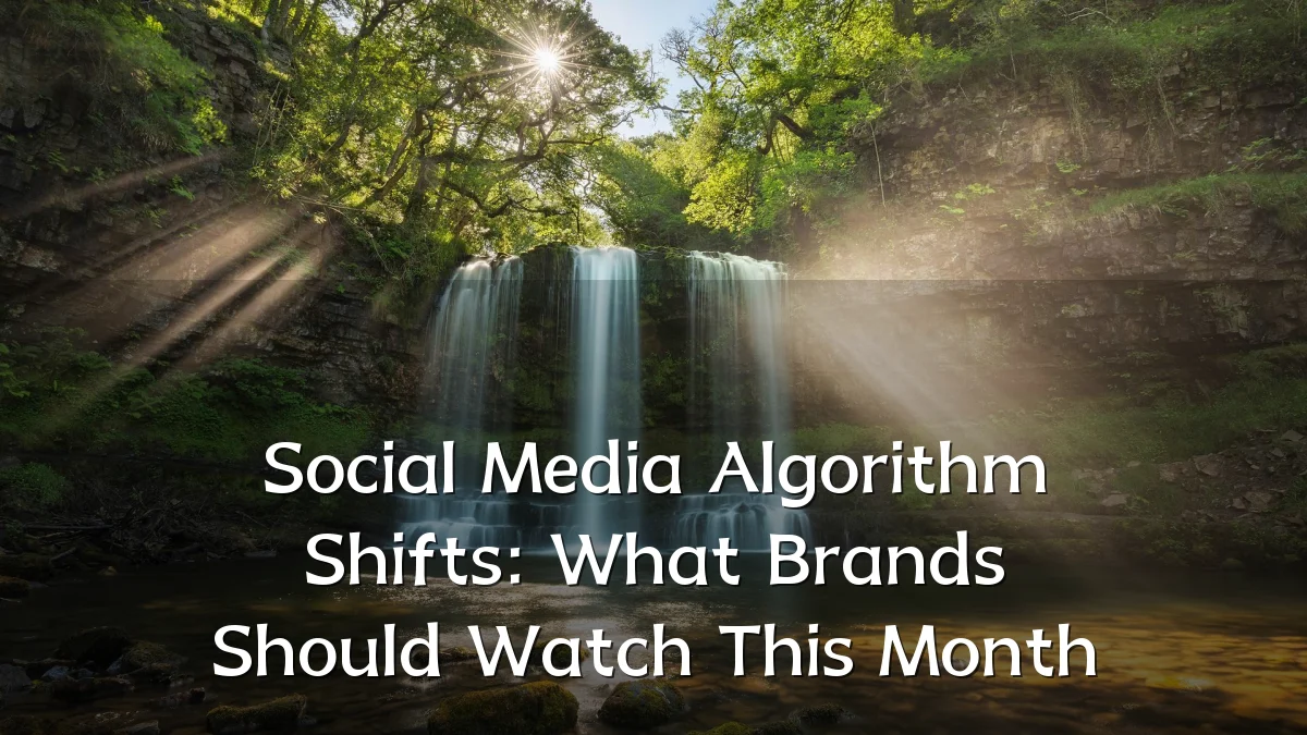 Social Media Algorithm Shifts: What Brands Should Watch This Month