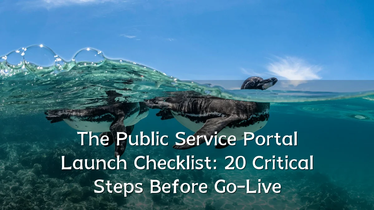 The Public Service Portal Launch Checklist: 20 Critical Steps Before Go-Live