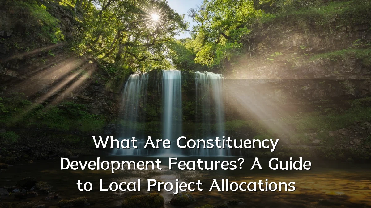 What Are Constituency Development Features? A Guide to Local Project Allocations