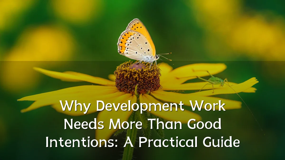 Why Development Work Needs More Than Good Intentions: A Practical Guide