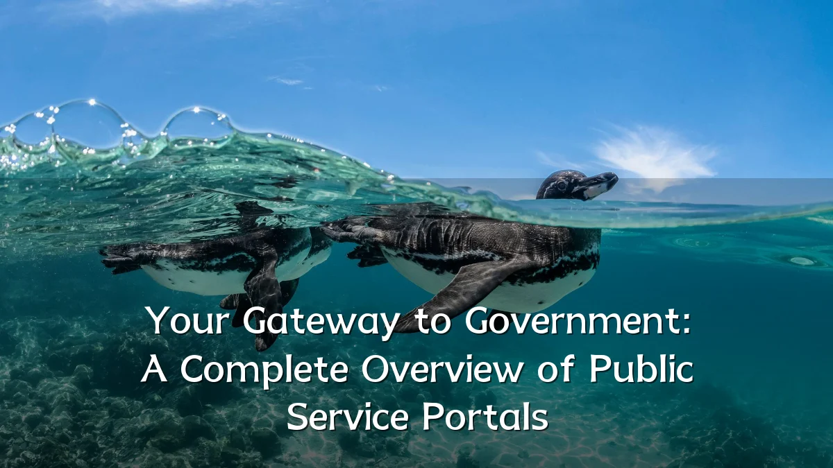 Your Gateway to Government: A Complete Overview of Public Service Portals