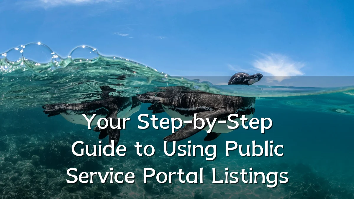 Your Step-by-Step Guide to Using Public Service Portal Listings