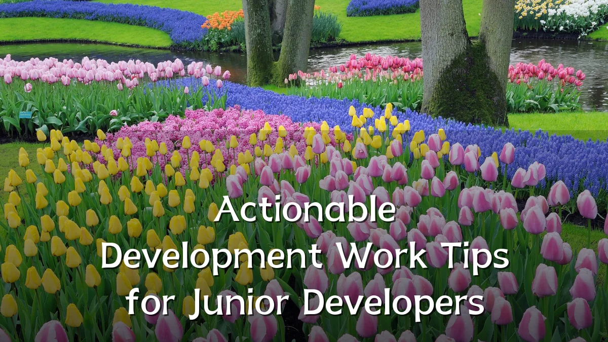 Actionable Development Work Tips for Junior Developers