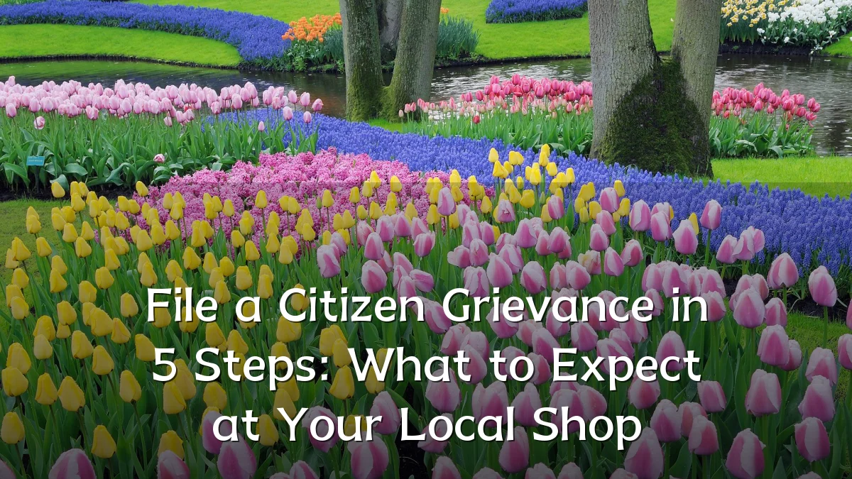 File a Citizen Grievance in 5 Steps: What to Expect at Your Local Shop