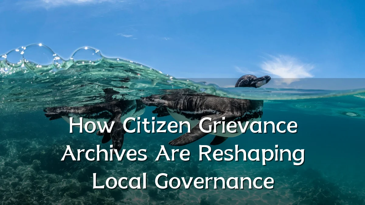 How Citizen Grievance Archives Are Reshaping Local Governance