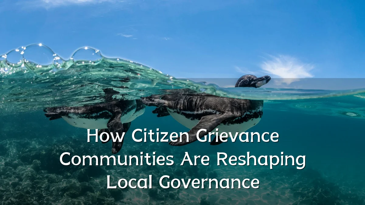How Citizen Grievance Communities Are Reshaping Local Governance
