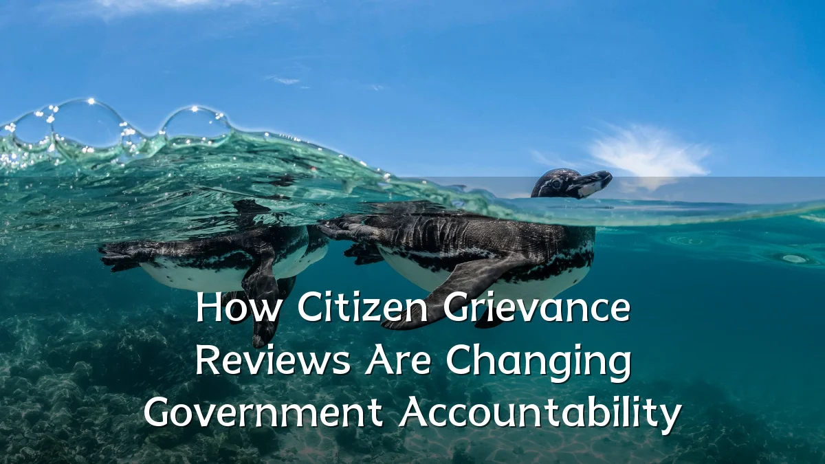 How Citizen Grievance Reviews Are Changing Government Accountability
