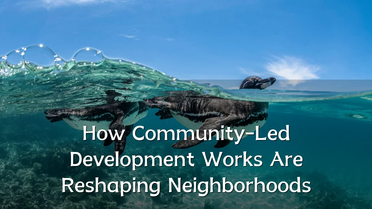 How Community-Led Development Works Are Reshaping Neighborhoods