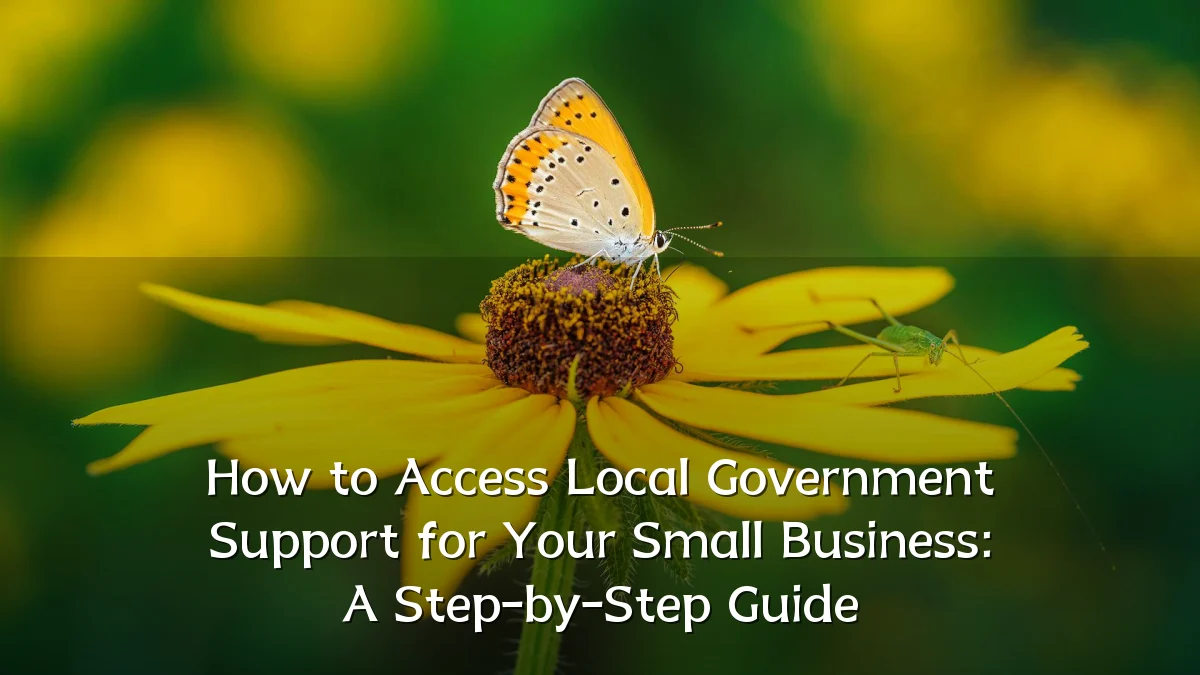 How to Access Local Government Support for Your Small Business: A Step-by-Step Guide