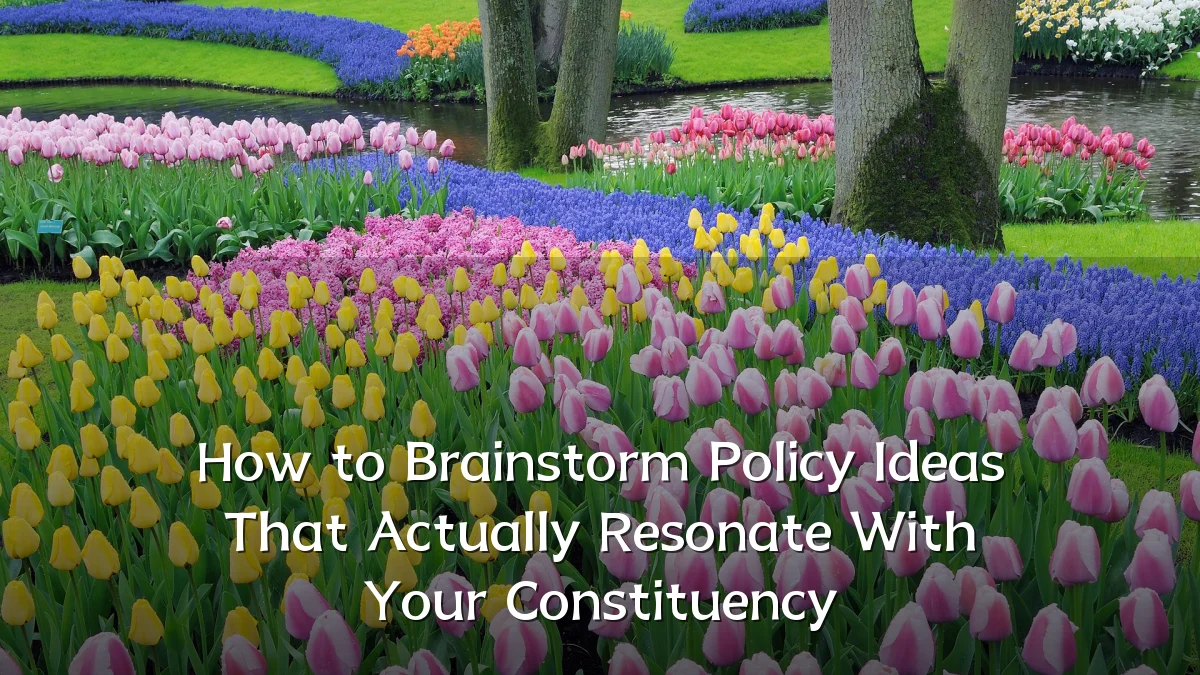 How to Brainstorm Policy Ideas That Actually Resonate With Your Constituency