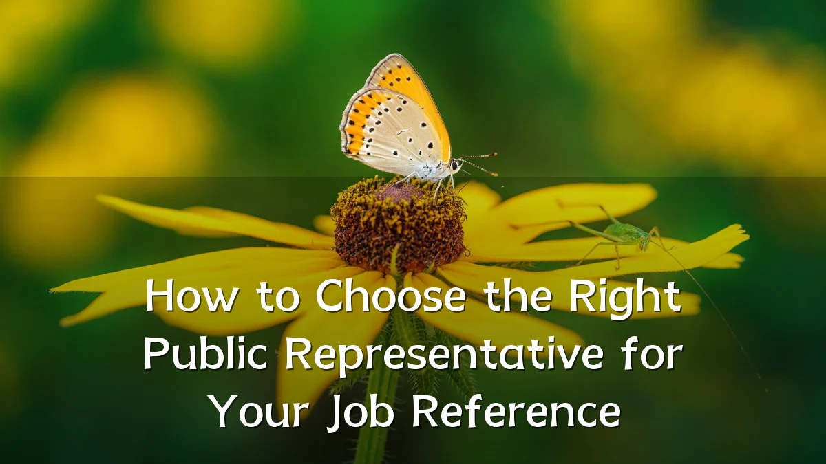How to Choose the Right Public Representative for Your Job Reference