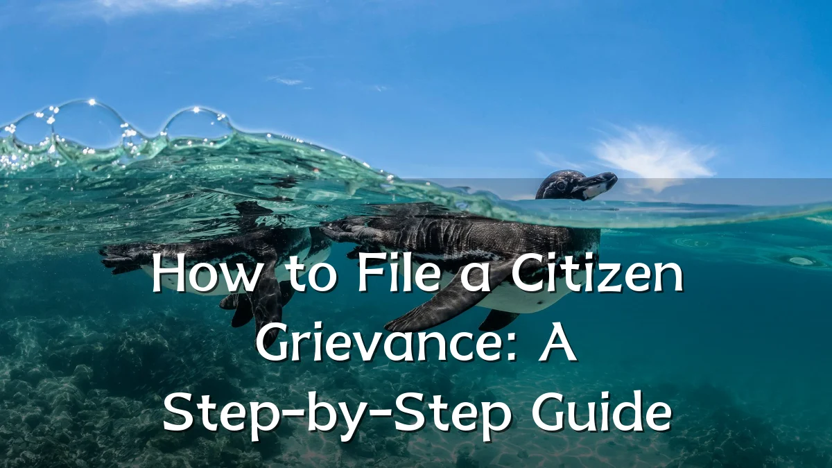 How to File a Citizen Grievance: A Step-by-Step Guide