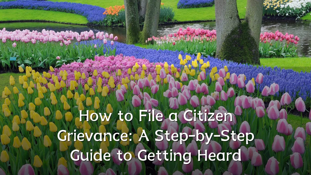 How to File a Citizen Grievance: A Step-by-Step Guide to Getting Heard