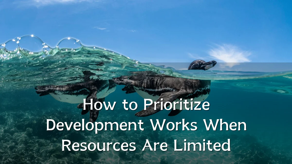 How to Prioritize Development Works When Resources Are Limited
