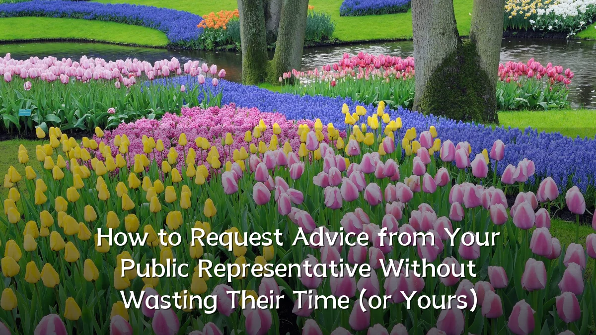 How to Request Advice from Your Public Representative Without Wasting Their Time (or Yours)
