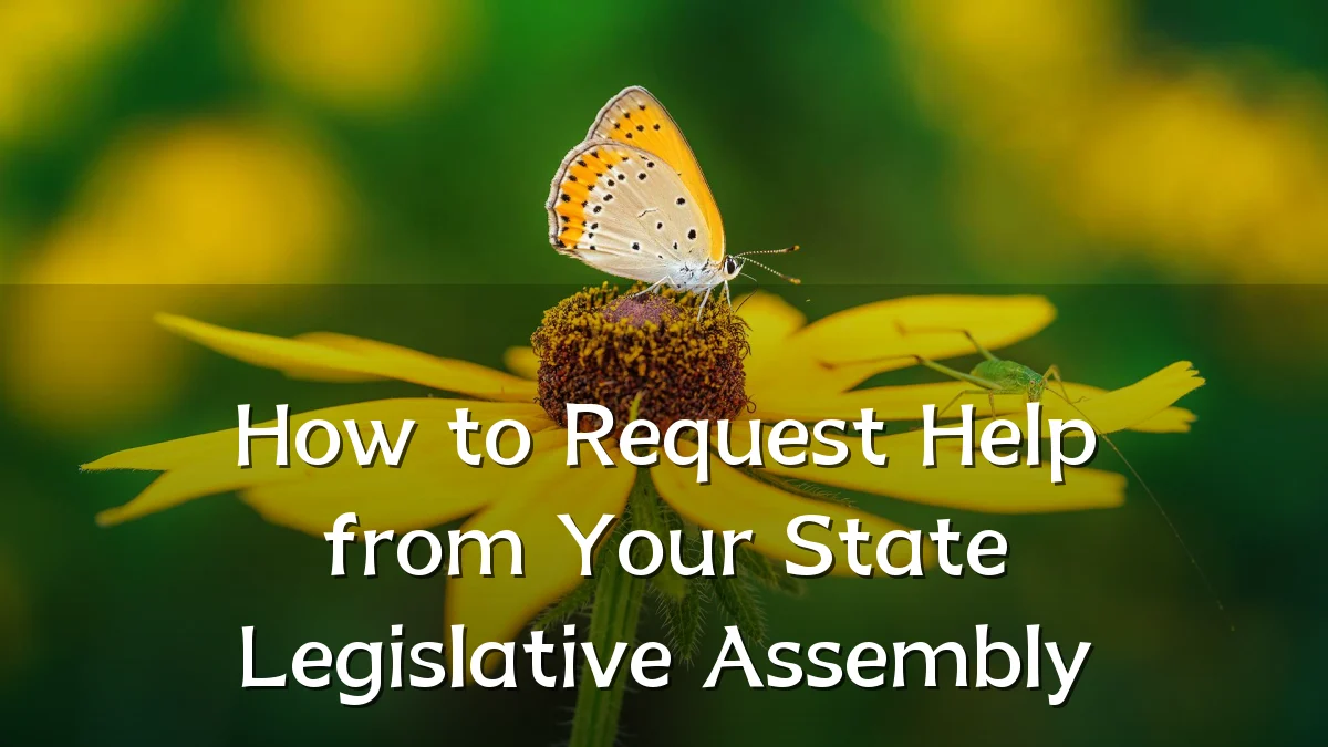 How to Request Help from Your State Legislative Assembly