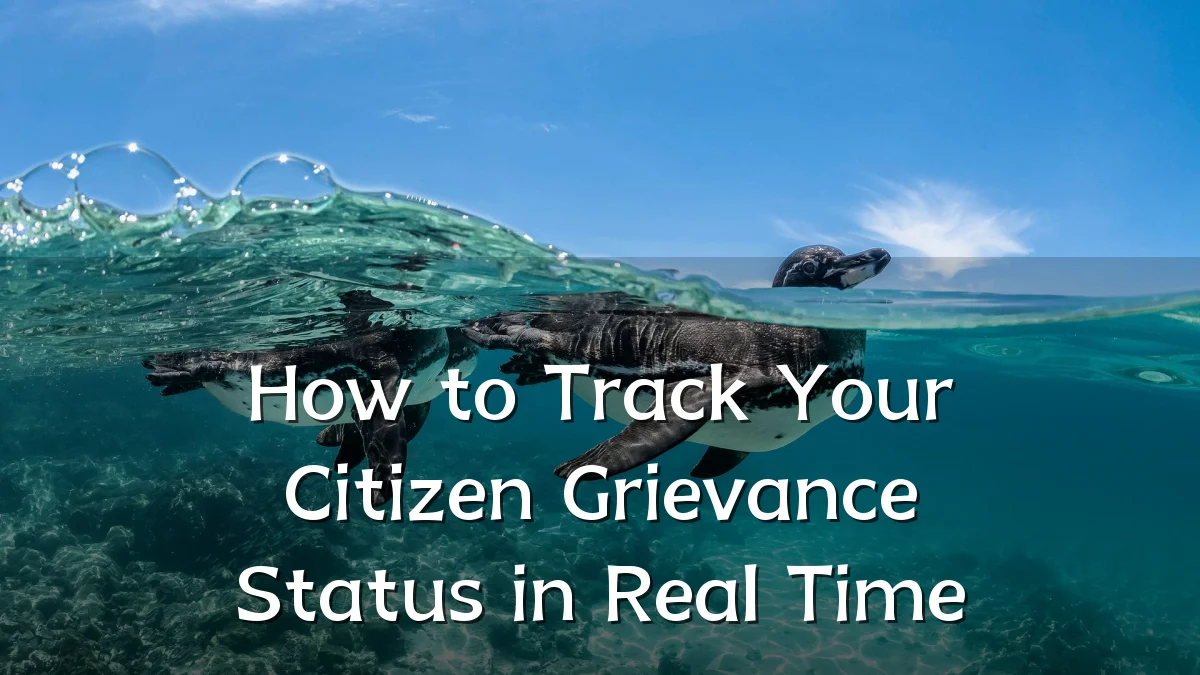 How to Track Your Citizen Grievance Status in Real Time