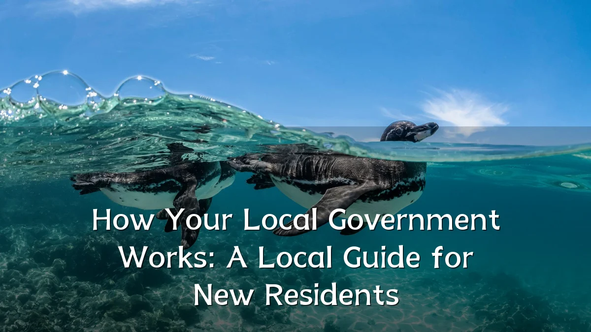 How Your Local Government Works: A Local Guide for New Residents