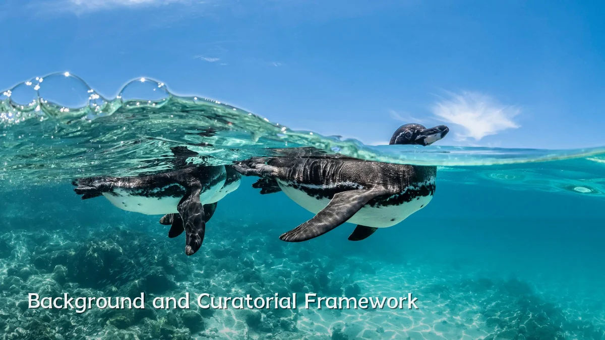 Background and Curatorial Framework