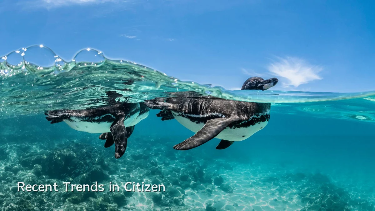 Recent Trends in Citizen