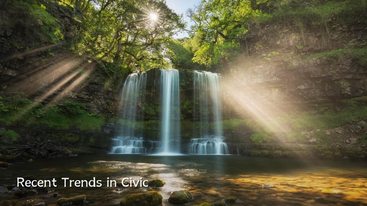 Recent Trends in Civic