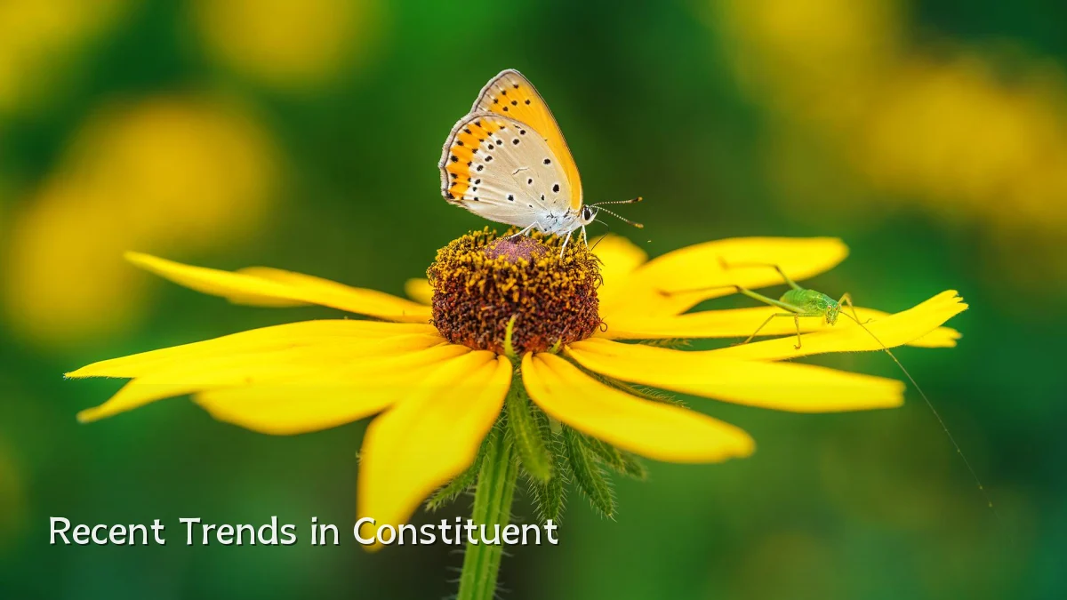 Recent Trends in Constituent